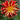 Dahlia ‘Akita’ - Garden Plants  - Bulbs - DAHAKI01