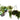 Lincolnshire Pond Plants Oxygenating Pack - OXP01