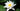 Star Bright water lily - pond plants water lilies aquatic plants-0